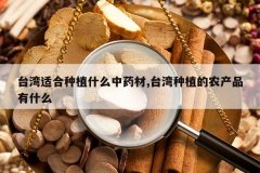 <b>̨���ʺ���ֲʲô��ҩ��,̨����ֲ��ũ��Ʒ��ʲô</b>