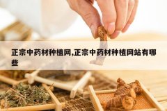 <b>������ҩ����ֲ��,������ҩ����ֲ��վ����Щ</b>