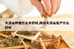 <b>����ɽ��ֲʲô��ҩ��,�Ĵ�����ɽ����ʲôҩ��</b>