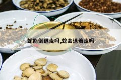 <b>���ܵ�������,�߻���������</b>