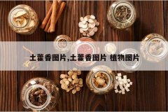 <b>��޽��ͼƬ,��޽��ͼƬ ֲ��ͼƬ</b>