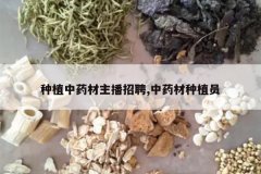 <b>��ֲ��ҩ��������Ƹ,��ҩ����ֲԱ</b>