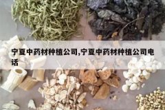 <b>������ҩ����ֲ��˾,������ҩ����ֲ��˾�绰</b>