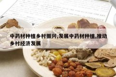 <b>��ҩ����ֲ�������,��չ��ҩ����ֲ,�ƶ���徭�÷�չ</b>