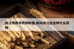 <b>�ڽ���ͳ��ҩ����ֲ,�Ĵ��ڽ��ʺ���ʲôҩ��</b>