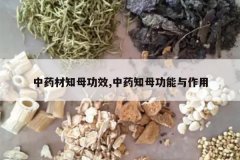 <b>��ҩ��֪ĸ��Ч,��ҩ֪ĸ����������</b>