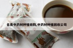 <b>������ҩ����ֲ�չ�,��ҩ����ֲ���չ�˾</b>