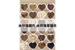 <b>ˮ����ͼƬ,ˮ�����ͼƬ</b>