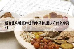 <b>�ʺ����������ֲ����ҩ��,�����ʲô��ҩ��</b>