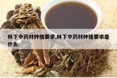 <b>������ҩ����ֲҪ��,������ҩ����ֲҪ����ʲô</b>