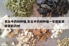 <b>������ҩ����ֲ,������ҩ����ֲһ����ܲ�������ҩ��</b>