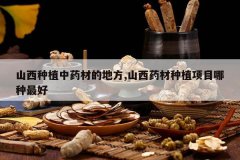 <b>ɽ����ֲ��ҩ�ĵĵط�,ɽ��ҩ����ֲ��Ŀ�������</b>