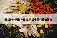 <b>�������ҩ����ֲ��,������ҩ����ֲ����</b>