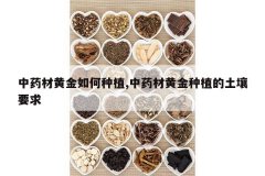 <b>��ҩ�Ļƽ������ֲ,��ҩ�Ļƽ���ֲ������Ҫ��</b>