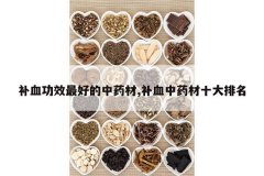 <b>��Ѫ��Ч��õ���ҩ��,��Ѫ��ҩ��ʮ������</b>