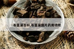 <b>ʯ���Ѱٿ�,ʯ����ͼƬҩ�ù�Ч</b>