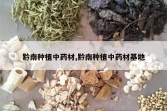 <b>ǭ����ֲ��ҩ��,ǭ����ֲ��ҩ�Ļ���</b>