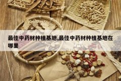 <b>�����ҩ����ֲ����,�����ҩ����ֲ����������</b>