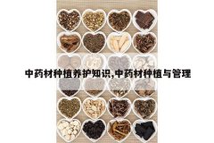 <b>��ҩ����ֲ����֪ʶ,��ҩ����ֲ�����</b>