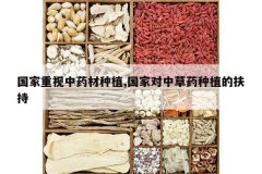 <b>����������ҩ����ֲ,���Ҷ��в�ҩ��ֲ�ķ���</b>