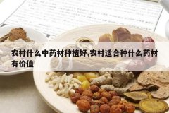 <b>ũ��ʲô��ҩ����ֲ��,ũ���ʺ���ʲôҩ���м�ֵ</b>