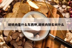 <b>��������ʲô������,�����������ʲô</b>