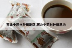 <b>������ҩ����ֲ����,������ҩ����ֲ����</b>