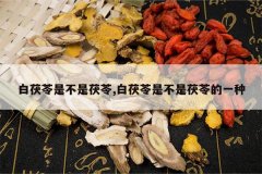 <b>�������ǲ�������,�������ǲ������ߵ�һ��</b>