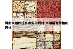 <b>����������ֲ����Щ��ҩ��,�����ʺ���ֲ��ҩ��</b>