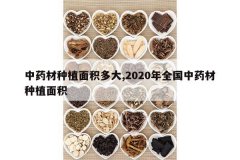 <b>��ҩ����ֲ������,2020��ȫ����ҩ����ֲ���</b>