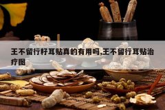 <b>���������Ѷ������������,�������ж�������ͼ</b>