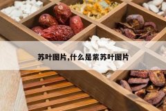 <b>��ҶͼƬ,ʲô������ҶͼƬ</b>