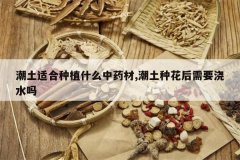 <b>�����ʺ���ֲʲô��ҩ��,�����ֻ�����Ҫ��ˮ��</b>