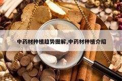 <b>��ҩ����ֲ����ͼ��,��ҩ����ֲ����</b>