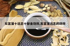<b>ʯ����ʮԶ־ʮ����Ч,ʯ����Զ־�Ĺ�Ч</b>