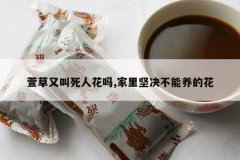 <b>����ֽ����˻���,�������������Ļ�</b>