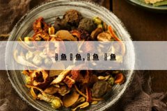 <b>��������,���� ����</b>