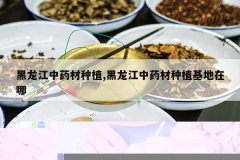 <b>��������ҩ����ֲ,��������ҩ����ֲ��������</b>