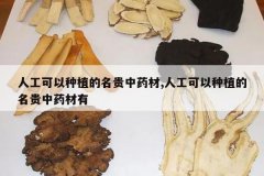 <b>�˹�������ֲ��������ҩ��,�˹�������ֲ��������ҩ����</b>