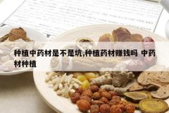 <b>��ֲ��ҩ���ǲ��ǿ�,��ֲҩ��׬Ǯ�� ��ҩ����ֲ</b>