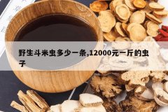 <b>Ұ�����׳����һ��,12000Ԫһ��ĳ���</b>