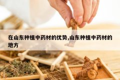 <b>��ɽ����ֲ��ҩ�ĵ�����,ɽ����ֲ��ҩ�ĵĵط�</b>