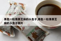 <b>��ɫһ�����֥���С����,��ɫһ�����֥���С����ͼƬ</b>