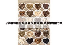 <b>ҩ����ֲ������Ŀ�Ƽ���ҩ,ҩ����ֲ����</b>