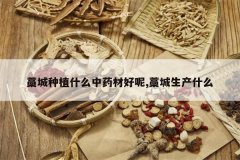 <b>޻����ֲʲô��ҩ�ĺ���,޻������ʲô</b>