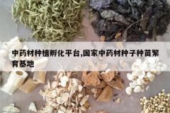 <b>��ҩ����ֲ����ƽ̨,������ҩ���������緱������</b>