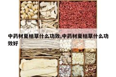 <b>��ҩ���Ŀݲ�ʲô��Ч,��ҩ���Ŀݲ�ʲô��Ч��</b>