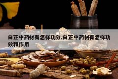 <b>������ҩ����������Ч,������ҩ����������Ч������</b>