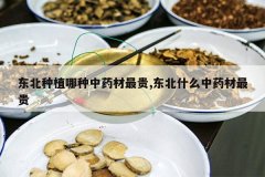 <b>������ֲ������ҩ�����,����ʲô��ҩ�����</b>