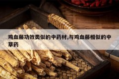 <b>��Ѫ�ٹ�Ч���Ƶ���ҩ��,�뼦Ѫ�����Ƶ��в�ҩ</b>